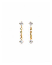 Screwback Stud Earrings - Holland Gold