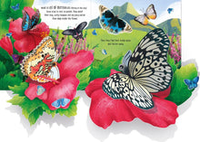Pop-Up Butterflies: Laura Cowan