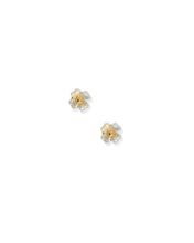Screwback Stud Earrings - Sloane