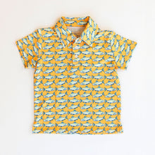 Kyle Polo - Amalfi Fish