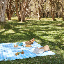 Picnic Blanket - Blueberry Pie