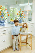Dean's List Dress Shirt Get In Line with Multicolor Stork