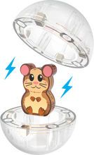 Hamster Ball™ 13 Piece Set