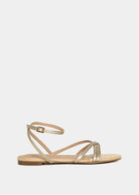 DANA MINI Gold