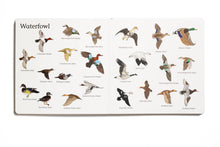 The Big Book of Hunting