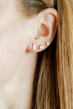Screwback Stud Earrings - Amber
